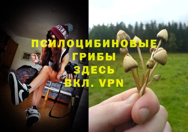 мяу мяу кристалл Лихославль