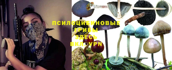 марки lsd Абаза