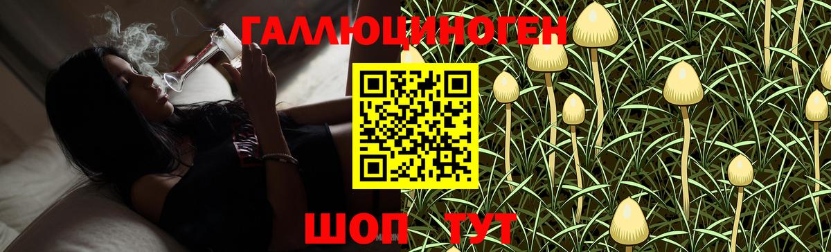 Галлюциногенные грибы Magic Shrooms  купить наркоту  Рязань  Галлюциногенные грибы Magic Shrooms  Вход с VPN 
